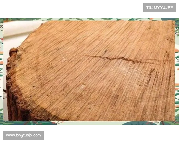 斗破苍穹OL全新职业成长系统深度解析与实力提升全面指南